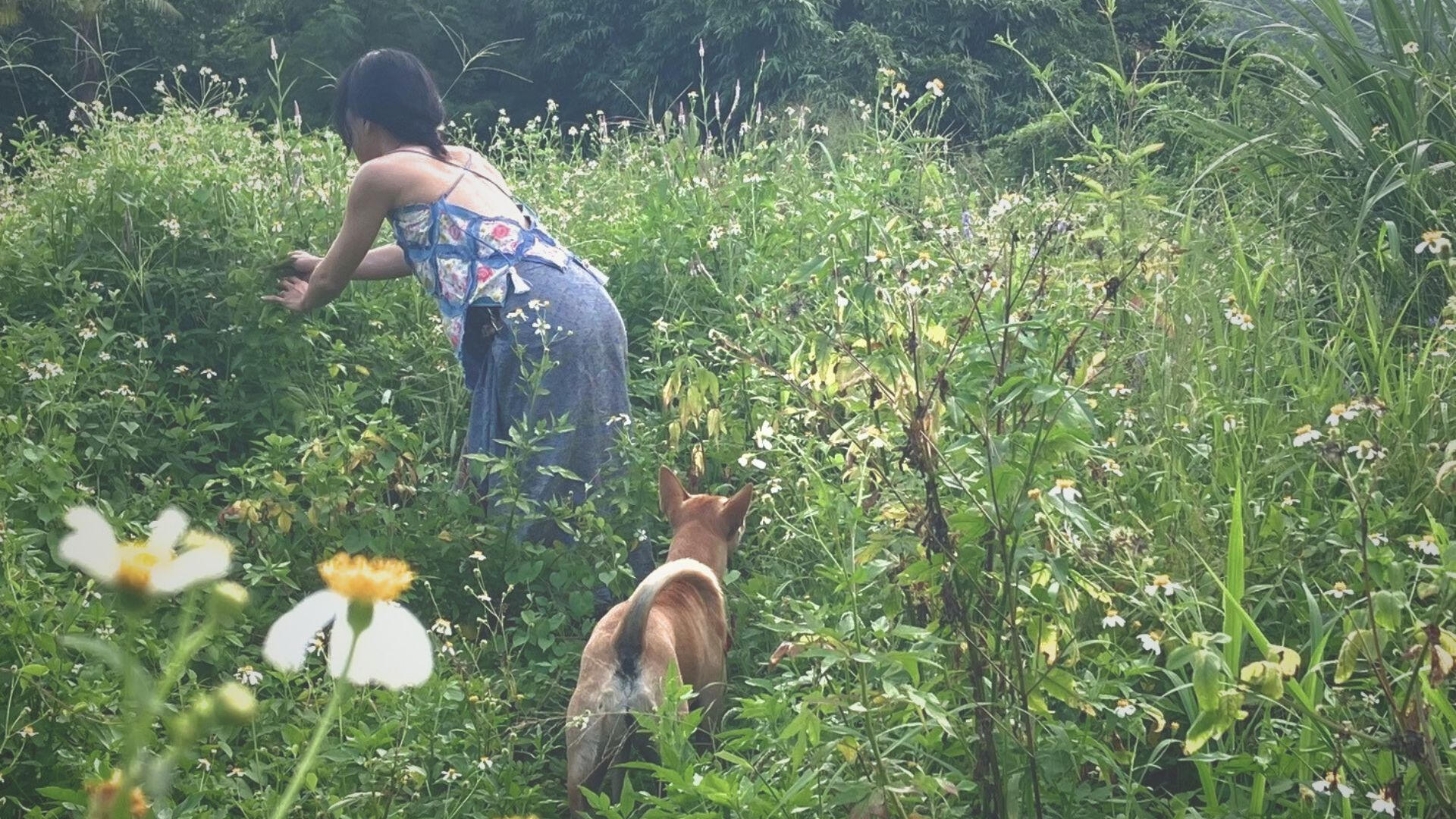 Person wearing a reversible textile vest while gathering flowers in a garden with a dog nearby.