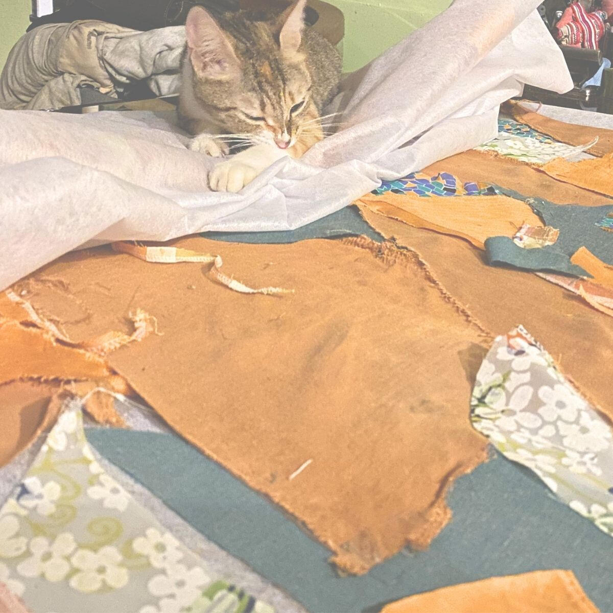 Cat resting on a partially completed textile installation during the making process.